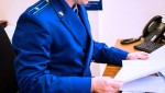 По поручению прокурора Ленинградской области Сергея Жуковского Приозерской городской прокуратурой организована проверка по факту прекращения подачи электроэнергии в ряд населённых пунктов Приозерского района